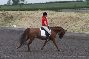 ISIS Dressage Challenge 2008